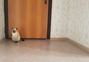 Женщину, которой исполнилось 103 года, попросили подождать законную квартиру - НТР 24