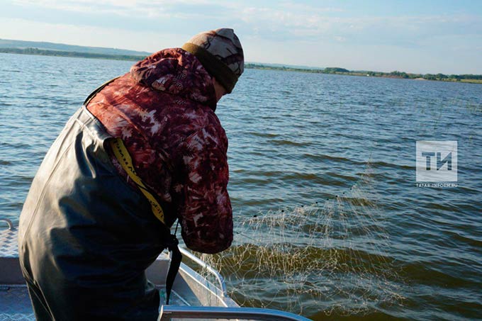 Федор Батков: в Татарстане белуга огромных размеров рвет рыбакам промысловые сети