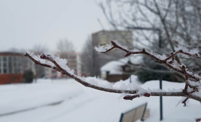 В Нижнекамске ожидается метель с мокрым снегом и потепление до +1