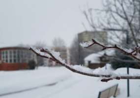 В Нижнекамске 14 градусов мороза, прогнозируется метель - НТР 24