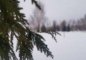 В Нижнекамске -11 градусов, днем начнется метель - НТР 24