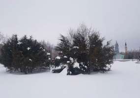 В Нижнекамске 12 градусов мороза, ожидается потепление - НТР 24