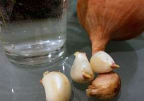 Ученый рассказал, как оздоровить кишечник - НТР 24