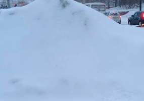 Нижнекамская прокуратура потребовала, чтобы исполком очистил парковки от снега и наледи - НТР 24