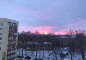 В Нижнекамске 9 градусов мороза, ожидается пасмурная, но теплая погода - НТР 24