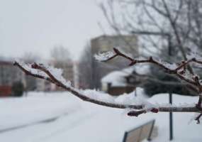 В Нижнекамске ожидается метель с мокрым снегом и потепление до +1 - НТР 24