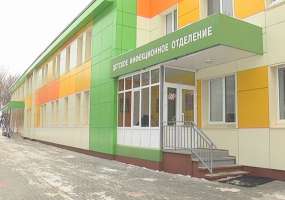 В Нижнекамске выявлен свиной грипп - НТР 24