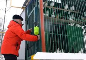 В День влюбленных в Нижнекамске сняли ролик «Любовь и голуби по-нижнекамски»