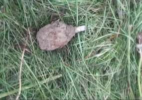 Нижнекамец нашел гранату и получил два года "строгача" - НТР 24