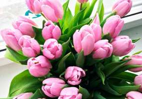 Международный женский день опять спасает россиян - НТР 24