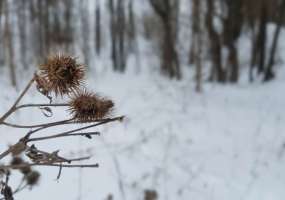 В Нижнекамске -2 градуса, ожидается ветреная погода и похолодание - НТР 24