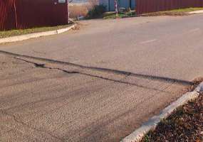 Обычный хомяк стал причиной закрытия дороги - НТР 24