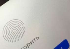 Добровольная дактилоскопическая регистрация  - НТР 24