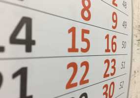 Рабочую неделю могут сократить до четырехдневной - НТР 24