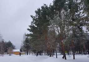 В Нижнекамске пасмурно и 10 градусов мороза - НТР 24