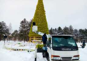В Нижнекамске из-за белок не смогли разобрать новогоднюю елку