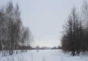 В Нижнекамске пасмурно и -8 градусов - НТР 24