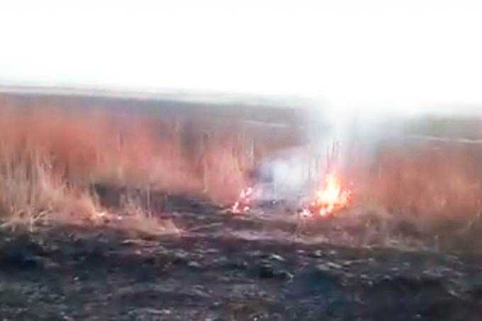 "Китайца" поймали во время поджигания травы на территории России