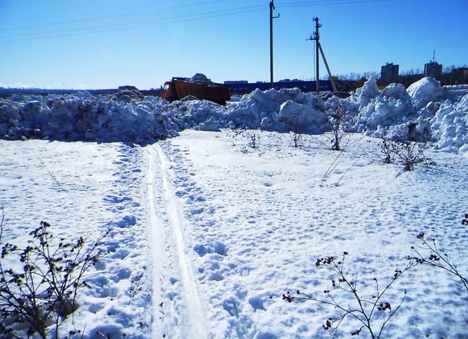 Коммунальщики завалили снегом тропы лыжников и «собачников»
