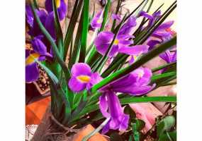 На следующей неделе россияне будут отдыхать три дня - НТР 24