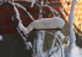 В Нижнекамске 7 градусов мороза, идет снег - НТР 24