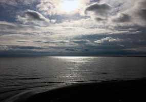 Мужчина разбогател на необычной находке - НТР 24