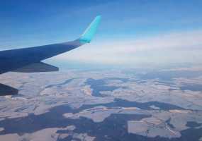 Министр здравоохранения РФ оказала первую помощь пассажирке самолета - НТР 24