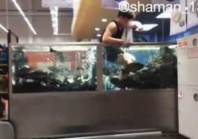 17-летний студент ради хайпа залез в аквариум с рыбой в «Ленте» - НТР 24