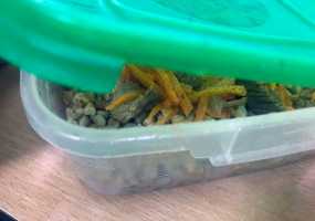 Мужчина травил своих коллег, подсыпая им в еду вредный порошок - НТР 24