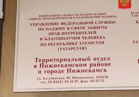 В Нижнекамске пройдет видеоконференция с управлением Роспотребнадзора Республики Татарстан - НТР 24