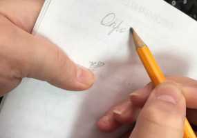 Какие критерии у "работы мечты" в России? - НТР 24