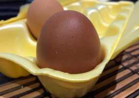 "Лох не мамонт, лох не вымрет": мошенники сами стали жертвой аферистов - НТР 24