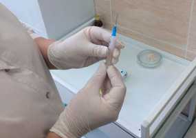 Нижнекамцев призывают прививаться от кори - НТР 24