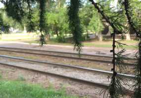 В Кремле прокомментировали информацию по строительству ВСМ, соединяющей Москву и Казань - НТР 24