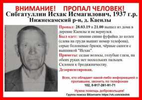 Нижнекамцы отправляются на поиски пропавшего человека без пальцев - НТР 24