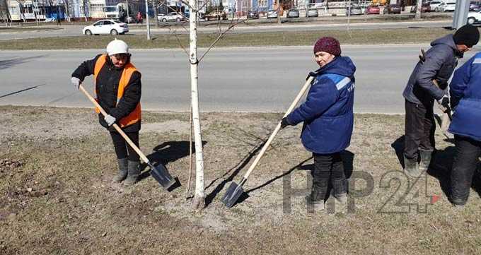 В Нижнекамске приступили к уборке накопившегося за зиму у обочин дорог мусора