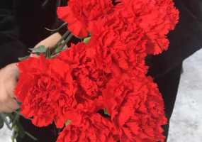 Скончался кинорежиссер Георгий Данелия - НТР 24