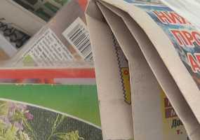 Казань приняла экологическую эстафету #СохранимЛес и собрала полтонны макулатуры - НТР 24