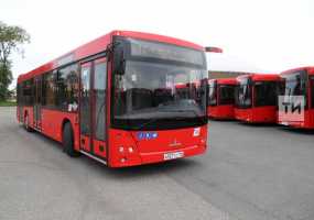 Заявление, специалист по безопасности и 45 дней ожидания: Госавтонадзор рассказал о новых правилах лицензирования автобусов - НТР 24