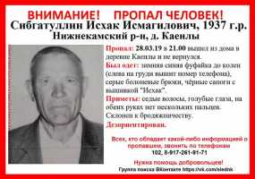 Очевидцы сообщили, что видели пропавшего в конце марта жителя Нижнекамского района - НТР 24