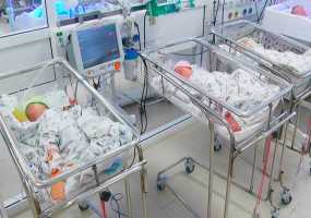 В Нижнекамске побит рекорд рождаемости близнецов - НТР 24