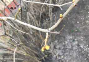 В Нижнекамске 5 градусов тепла, вечером ожидается снегопад - НТР 24