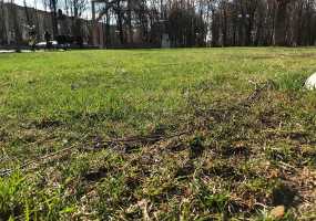 В Нижнекамске зафиксированы еще два случая укуса клещей - НТР 24