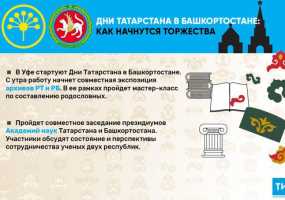Встреча академиков, «Мост Дружбы» и матч ветеранов хоккея: Как стартуют Дни Татарстана в Башкирии - НТР 24