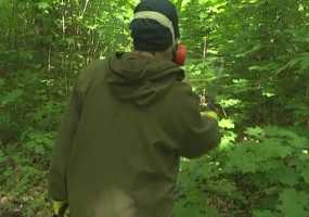 В Роспотребнадзоре Нижнекамска рассказали, когда начнут обработку «зеленых» территорий от клещей - НТР 24