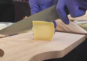 Самозанятых Татарстана приглашают на обучение по участию в закупках - НТР 24