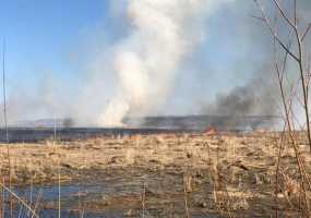 В Нижнекамске на пустыре за родником на ул.Лесной загорелась сухая трава - НТР 24