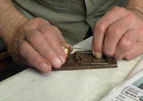 На борьбу с мышами в Нижнекамске выделят больше миллиона рублей - НТР 24