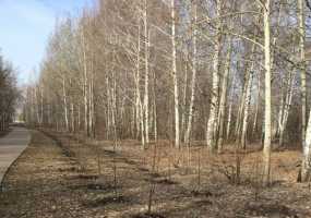 В Нижнекамске малооблачно и около 8 градусов тепла, днем потеплеет - НТР 24