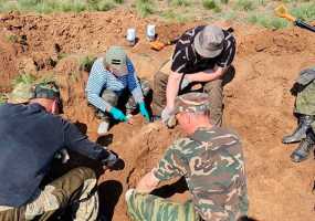 Поисковики из Нижнекамска «подняли» под Волгоградом 12 красноармейцев - НТР 24